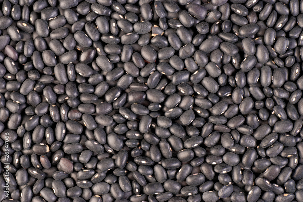 Frijoles Frijoles