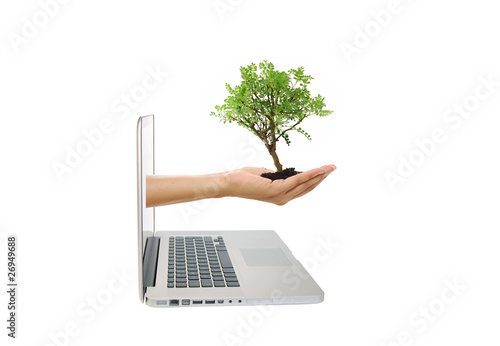 Green business