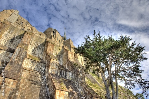 Contrefort de l'abbaye du Mont-Saint-Michel