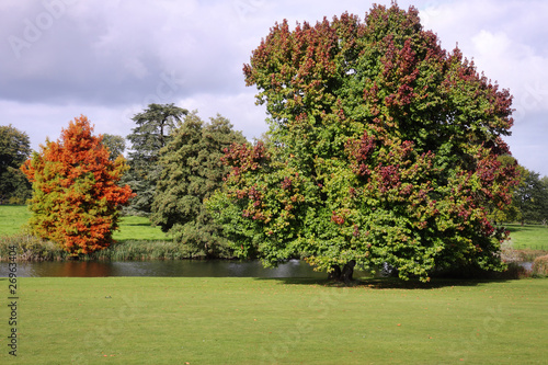 Autumn Colours in an English Park