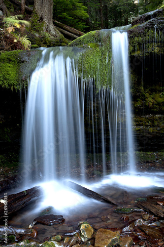 The tranquil Fern Falls.