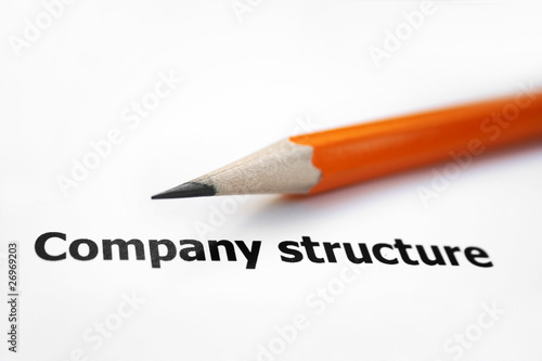 Company structure © alexskopje