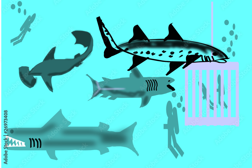 Obraz premium shark bait