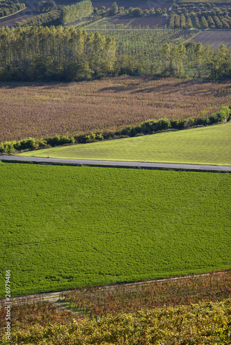 Agricultural fields