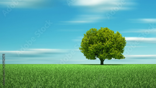 Green grass tree