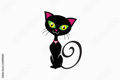 black cat