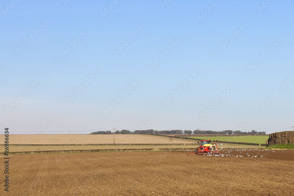 Obraz premium sowing barley
