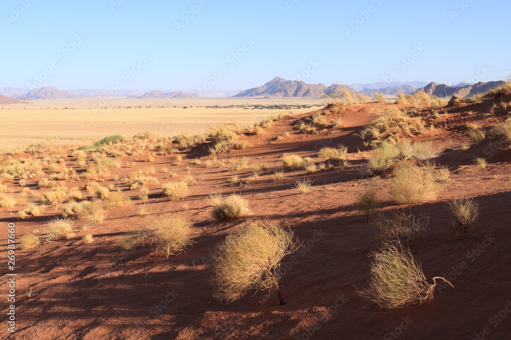 Fototapeta premium Paysage du désert du Namib
