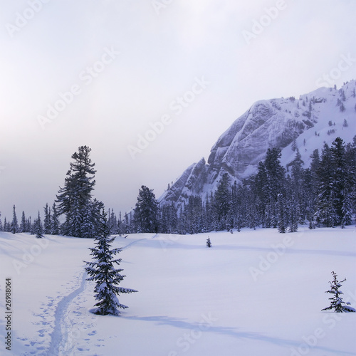 Western Sayan mountains. Ergaky. Siberia. Russia in winter time. © Sergey Toronto