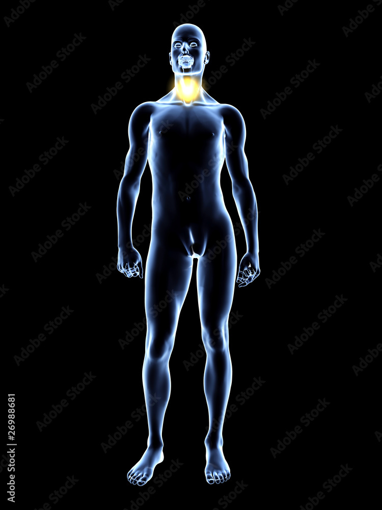 Erleuchtetes Visuddha Chakra Erleuchtetes Visuddha Chakra