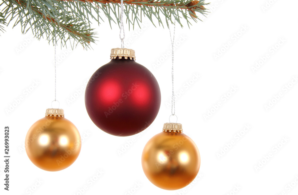 spruce branch with color balls, on white spruce branch with color balls, on white
