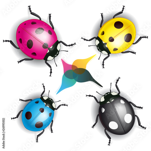 Coccinelles de l'imprimerie, vecteur