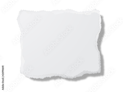 Piece of torn paper