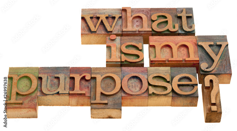 what is my purpose