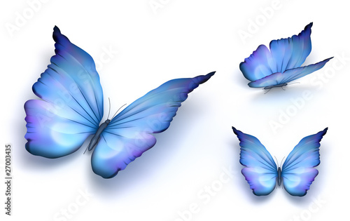 Blue butterfly isolated on white. 3d render. photo