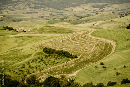 Typical Tuscan landscape photo