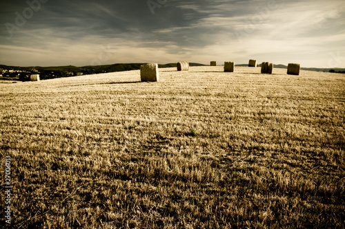 Typical Tuscan landscape photo