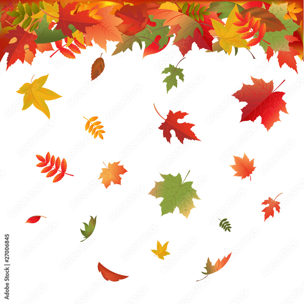Falling Leaves Falling Leaves
