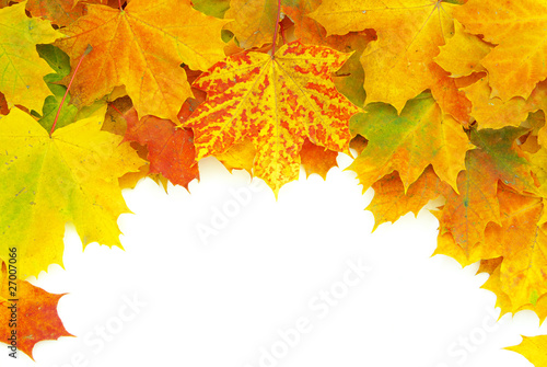 autumn  leafs