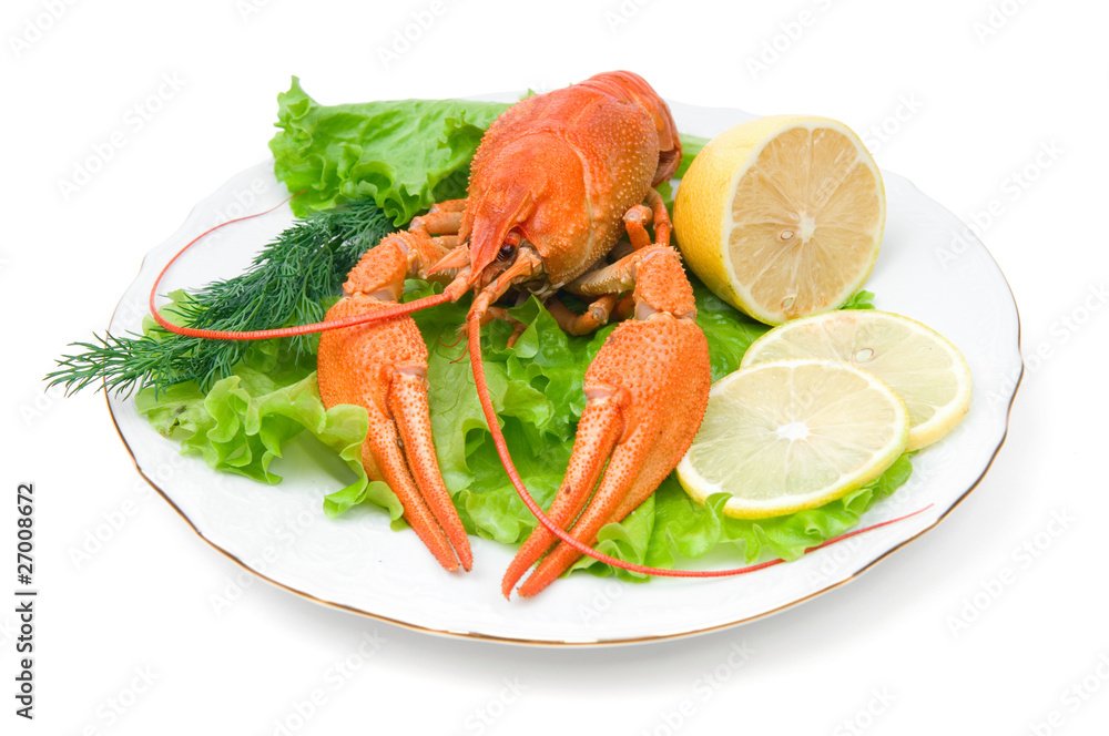 Crayfish Crayfish