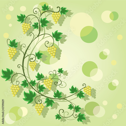 grapebackground