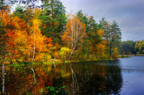 Fototapeta Naklejka Na Ścianę i Meble -  Picturesque autumn landscape of lake and bright trees and bushes