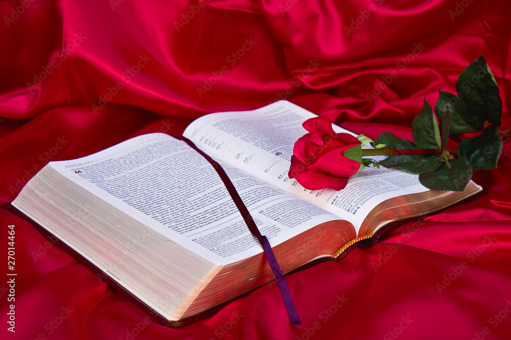 Fototapeta premium Bible Study