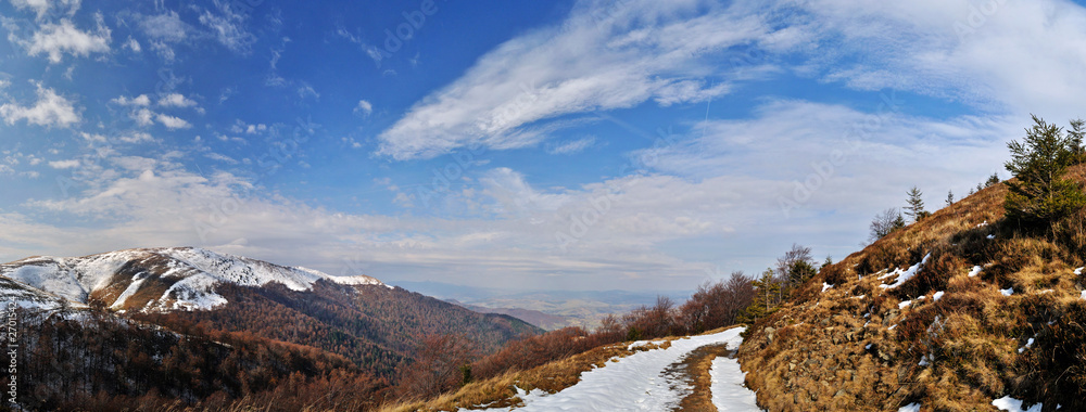Firs snow on mountain ridge