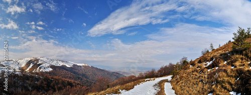 Obraz na płótnie Firs snow on mountain ridge w salonie