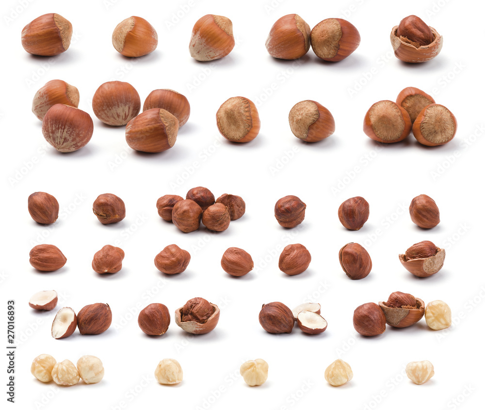 Fototapeta premium Hazelnuts collection