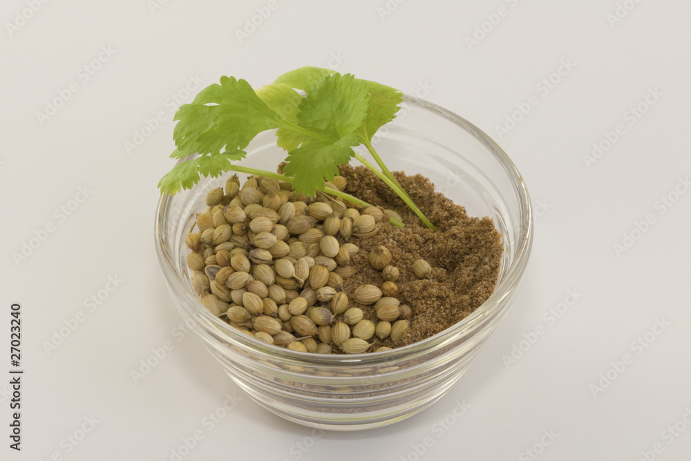 coriander leaves, seeds and ground coriander leaves, seeds and ground