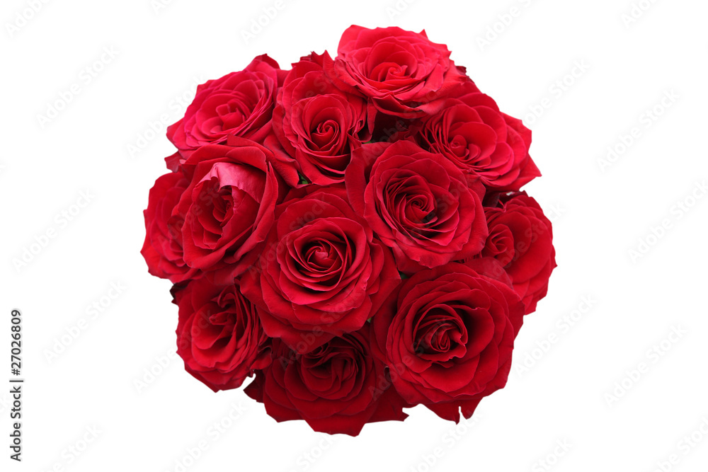 Naklejka premium Roses