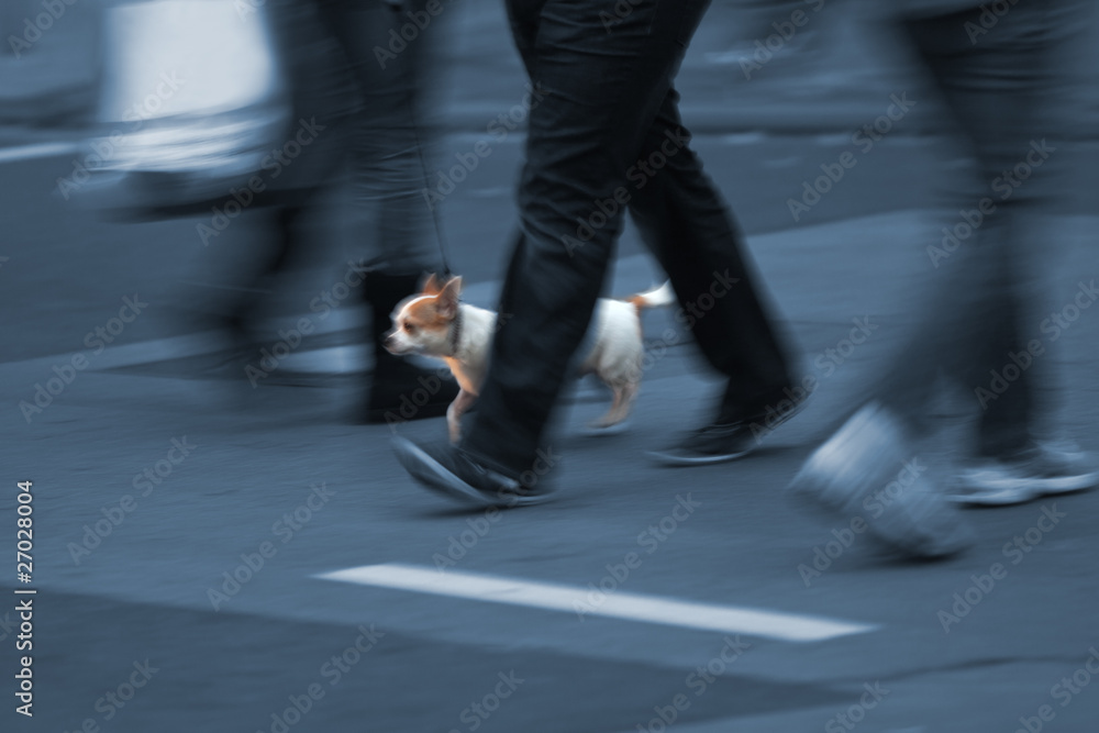 zwischen den Beinen zwischen den Beinen