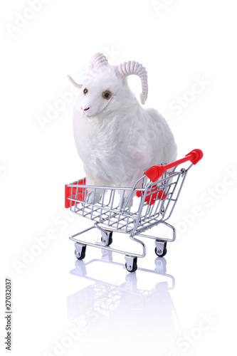 Model ram in shopping cart isolated on white photo