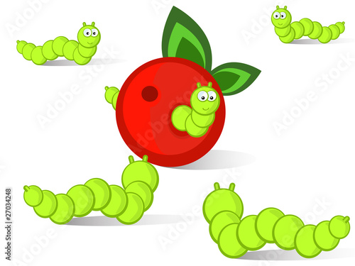 caterpillars