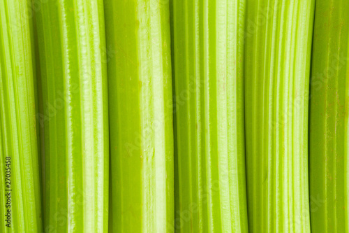 green celery background