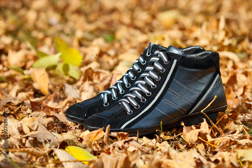 Pair of black female sport shoes in autumn foliage Pair of black female sport shoes in autumn foliage
