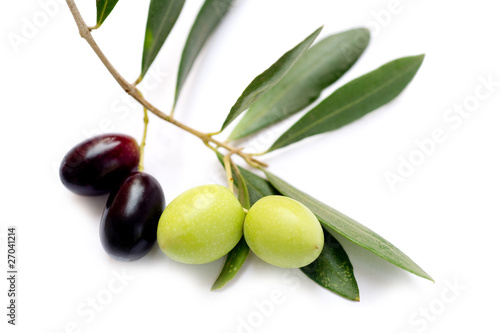 olive branch -ramo olive