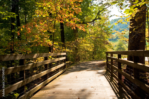 Autumn Scene from Wooden Foot Bridge