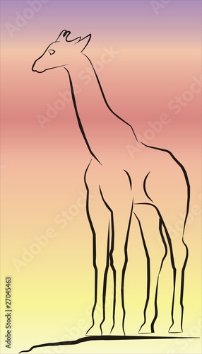Giraffe002