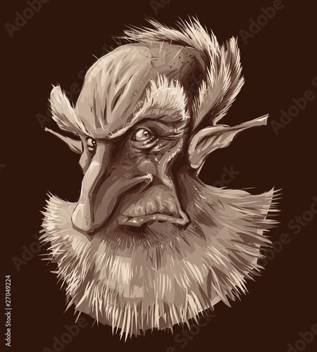 Ancient elf portrait. Vector illustration, isolated object