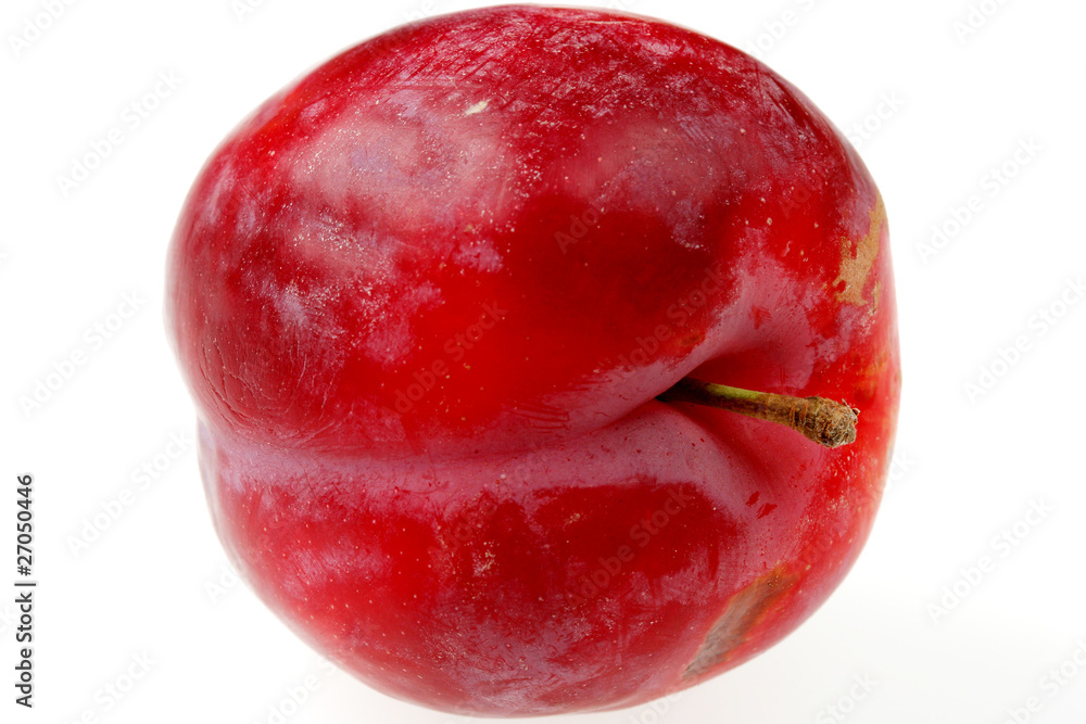 Fototapeta premium Plum