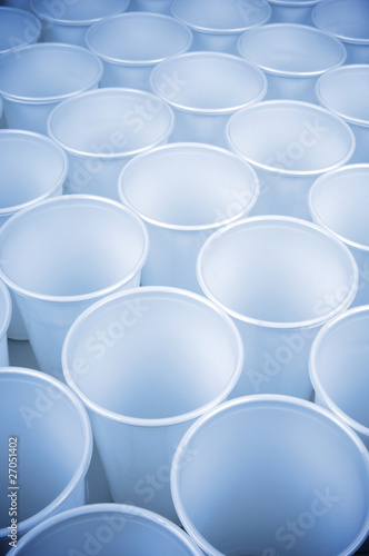 disposable dishes