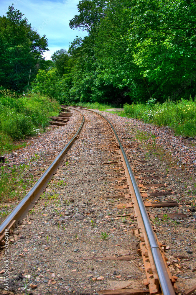 Railroad Tracks Surrounded by Green Trees