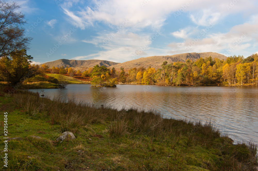 Tarn Hows Autumn landscape