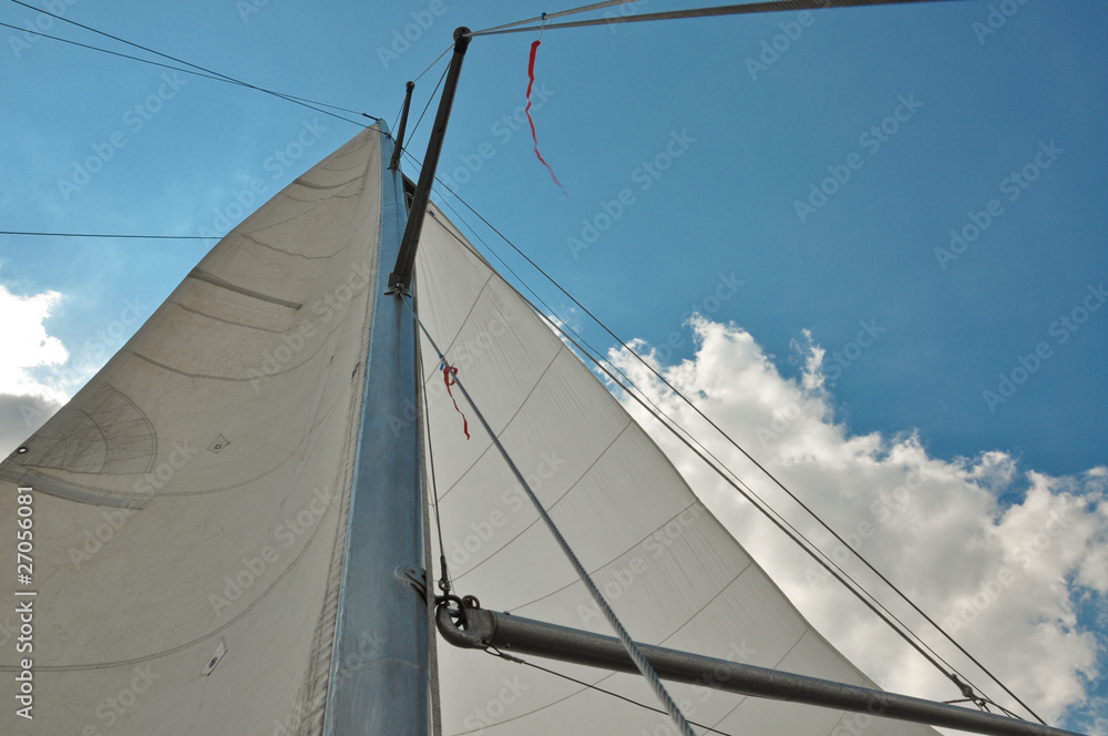 Fototapeta premium Sail