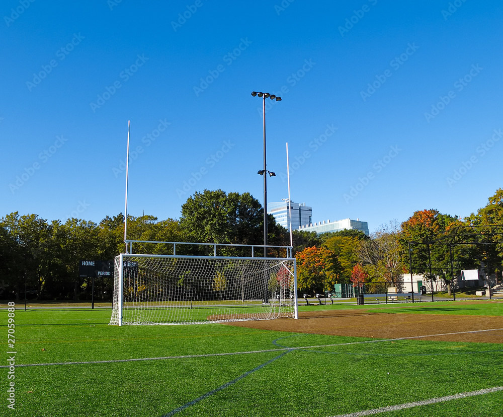 Combined Soccer and Football Goal Posts