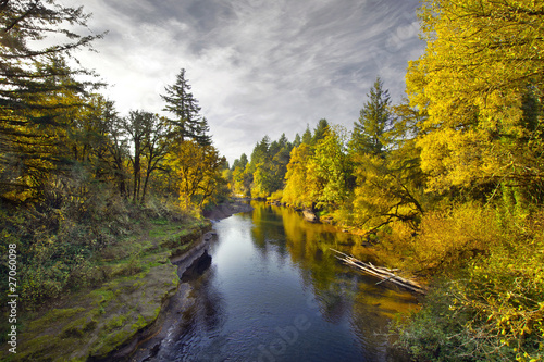 Fall Colors along Thomas Creek Oregon