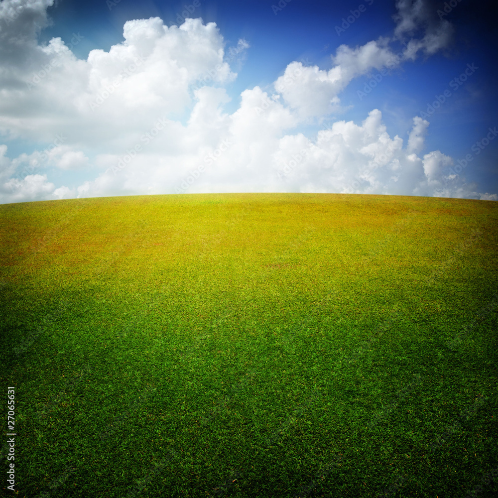 Obraz premium Green grass and nice sky