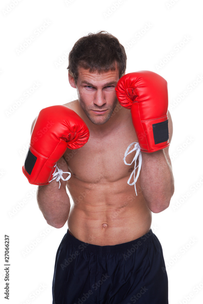 Male boxer isolated
